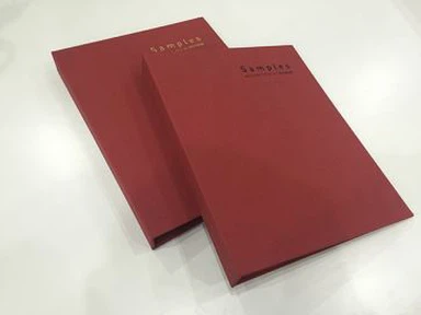 Carpeta de carpeta normal tamaño A4